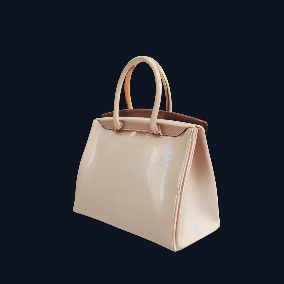 Elegant Handbag Model Pack